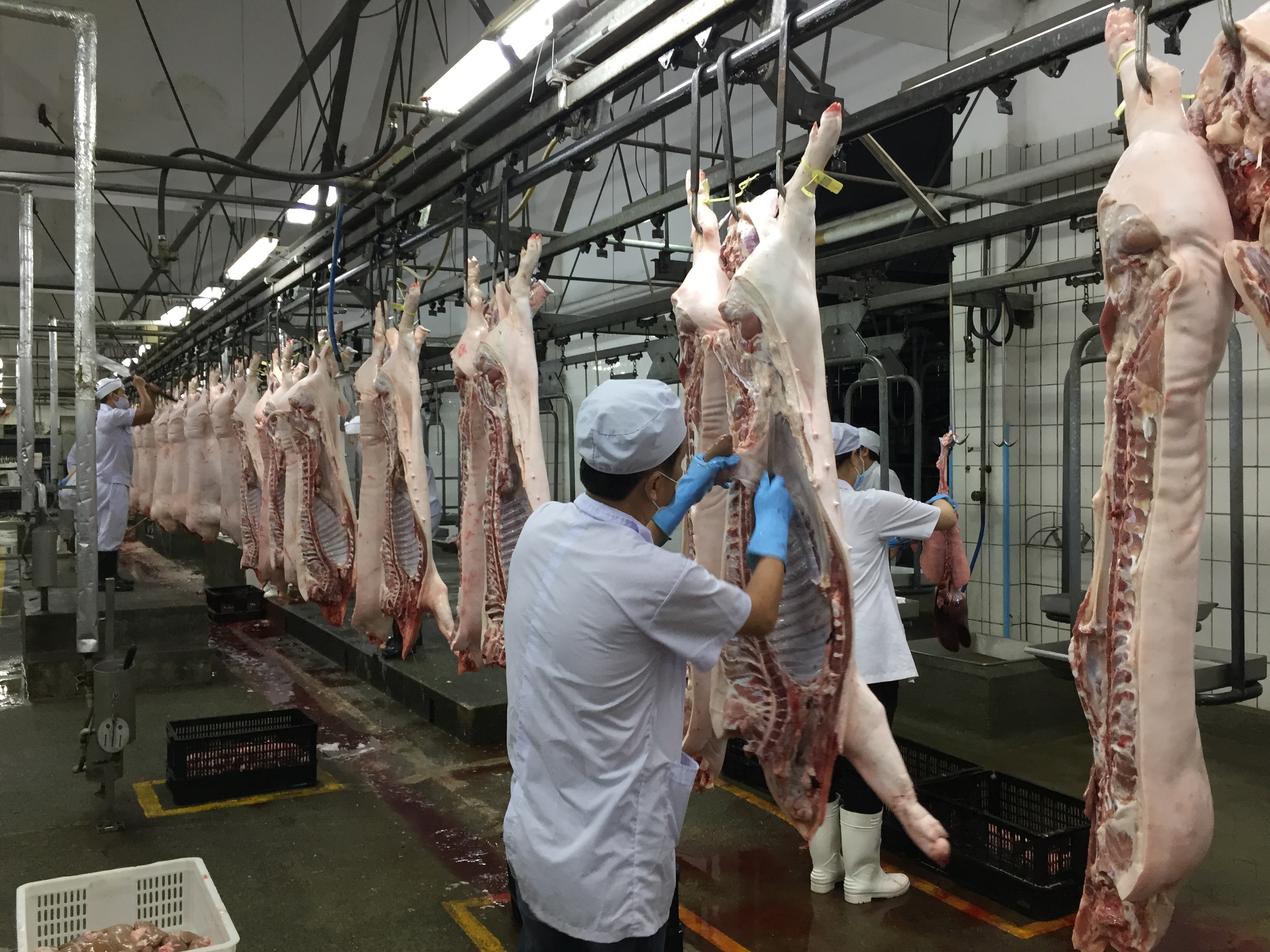 Máy thái thịt công nghiệp- giải pháp tối ưu cho cơ sở chế biến thịt chuyên nghiệp